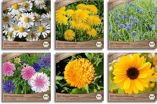 Samenliebe BIO essbare Blüten Samen Set mit 6 samenfesten Blumensamen ...